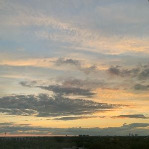 Meet your Posher, Laurel